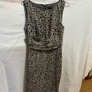 Ann Taylor Dress